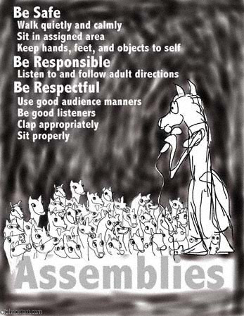 assembly crowded with well behaved colts