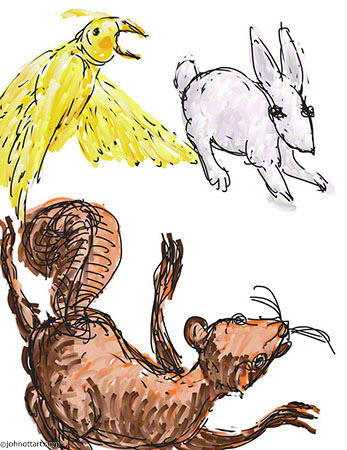 Color drawing of bird squirrel and bunny having fun